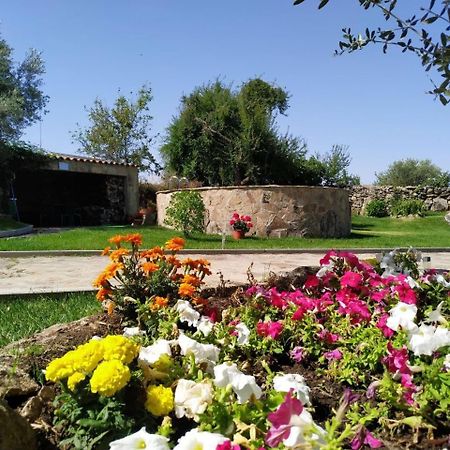 Hostal El Lagar Del Abuelo Zamora Exterior foto