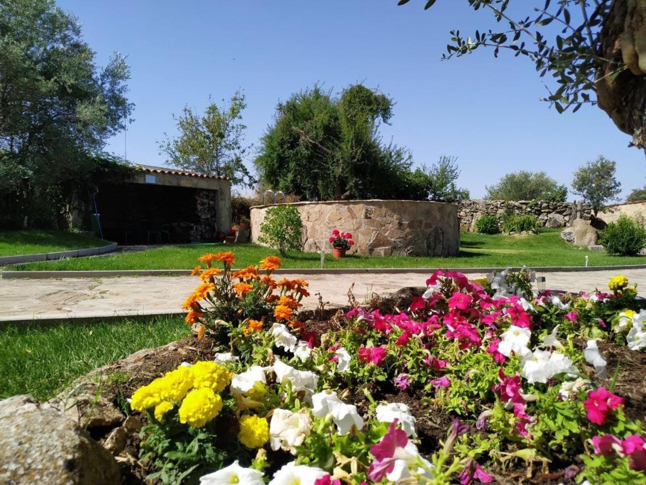 Hostal El Lagar Del Abuelo Zamora Exterior foto